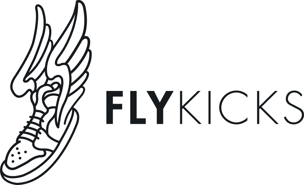 fly kicks logo